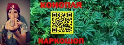 спиды Сланцы